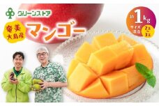 奄美大島産マンゴー約1kg（サイズ混合）　A050-008