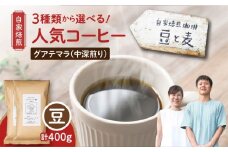 【自家焙煎】豆と麦 グアテマラ（豆） 計400g（200g×2袋）　A017-018-01