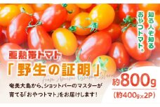 【2026年先行予約】亜熱帯トマト「野生の証明」約800g（約400g×2P）　A021-002-01