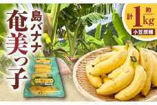 島バナナ 奄美っ子（小笠原種） 約1kg（500g×2P）　A037-033
