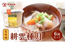 044-10 ヤマガミ「耕雲種月」味噌6個セット