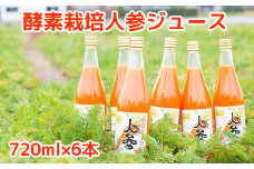 004-01 酵素栽培人参ジュース720ml×6本