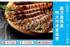 016-03 鹿児島県産特大冷凍車海老300g