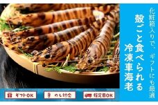 016-02 殻ごと食べられる冷凍車海老　300gパック