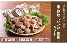 029-02 生・乾燥しいたけ(菌床)
