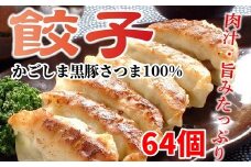 052-03 「かごしま黒豚さつま」餃子64個セット