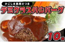 052-05 「かごしま黒豚さつま」デミグラスハンバーグ10個セット