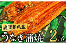 008-55 鹿児島県産うなぎ蒲焼2尾
