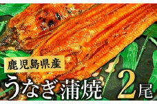 008-55 鹿児島県産うなぎ蒲焼2尾