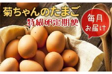 【全12回】毎月お届け!菊ちゃんのたまご(特級卵)定期便 042-08