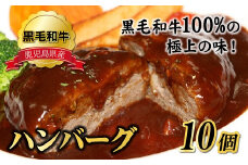 071-02 鹿児島県産黒毛和牛ハンバーグ10個 合計 1.5kg