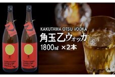 026-54 角玉乙ウォッカ1.8L×2本