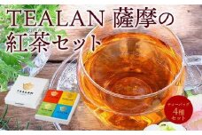 073-02 TEALAN 薩摩の紅茶セット