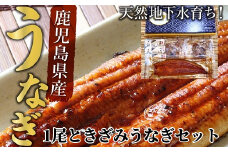 062-3-05 鹿児島県産うなぎ蒲焼1尾&きざみうなぎセット