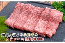060-13 知覧農場より小田牛のカタロース焼肉用300g