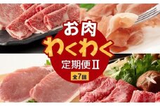 【全7回】お肉わくわく定期便Ⅱ 027-37
