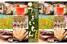 【全12回】南九州市川辺うまいもん定期便 MK-UK