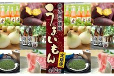 【全12回】南九州市頴娃うまいもん定期便 MK-UE