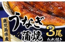 077-01 鹿児島県産うなぎ蒲焼3尾 タレ付