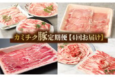 【全4回】鹿児島県産 カミチク豚 定期便 076-16