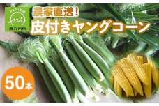 057-02 皮付きヤングコーン50本