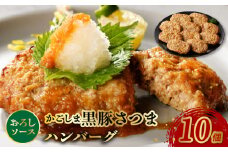 052-25 かごしま黒豚ハンバーグおろしソース10個