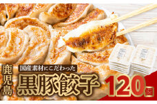 087-01 国産素材にこだわった鹿児島黒豚餃子120個