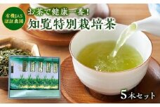 002-22 知覧特別栽培茶5袋セット