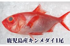 008-72 鹿児島産キンメダイ1尾(1~1.2kg)