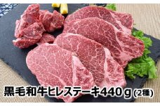076-37 黒毛和牛 ヒレ 2種 ステーキカット & サイコロカット 220g × 2パック 鹿児島県産 牛肉 赤身 ステーキ カミチク 南九州市