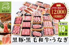 【全10回】鹿児島自慢の豚・牛・うなぎ!10回満足定期便 027-40