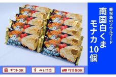 008-74 南国白くまモナカ10個セット