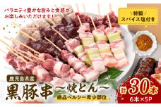 052-28 鹿児島県産黒豚串～焼とん～6本×5P（特製スパイス塩付き）