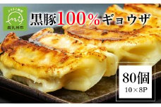 107-03 黒豚100%ギョウザ（10個入×8パック）