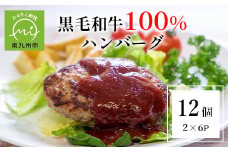 107-04 黒毛和牛100%ハンバーグ（2個入×6パック）