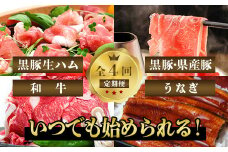 【全4回】いつでも始められる黒豚＆県産豚しゃぶしゃぶ・うなぎ・和牛・黒豚生ハム定期便 027-45