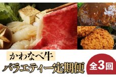 【全3回】かわなべ牛バラエティー定期便 023-25