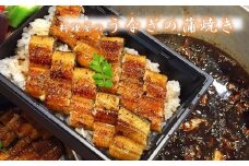 056-09 うなぎの蒲焼き