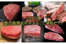 【全6回】鹿児島黒毛和牛まるごと堪能セット定期便 084-15