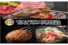 【全3回】鹿児島黒毛和牛・黒豚堪能焼き肉、スライス、ハンバーグセット定期便 084-16