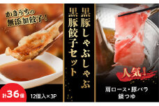 071-07 黒豚しゃぶしゃぶ・黒豚餃子セット