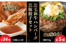 071-08 黒毛和牛ハンバーグ・黒豚餃子セット