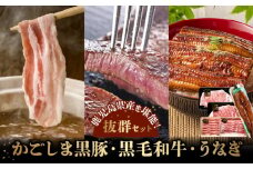 106-06 かごしま黒豚しゃぶしゃぶ用2パック・黒毛和牛サーロイン2枚・ウナギ1尾の抜群セット