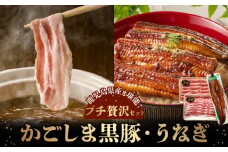 106-05 かごしま黒豚しゃぶしゃぶ用2パック・鹿児島県産ウナギ1尾のプチ贅沢セット