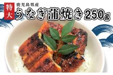 110-01 「特大」鹿児島県産うなぎ蒲焼き250g（タレ付き）