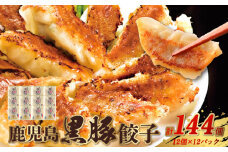 062-1-14 鹿児島黒豚餃子12P(計144個)