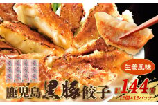 062-1-15 鹿児島黒豚餃子生姜風味12P(計144個)