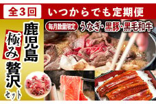 【全3回】いつでも始められる黒毛和牛・黒豚・うなぎ 鹿児島極み贅沢セット定期便 027-53