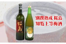 037-34 別撰熟成 桜島・知覧上等梅酒セット
