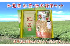 123-04 知覧茶 紅茶･粉末緑茶セット